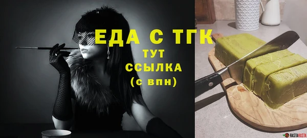 шишки Магас