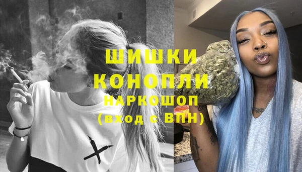 шишки Магас