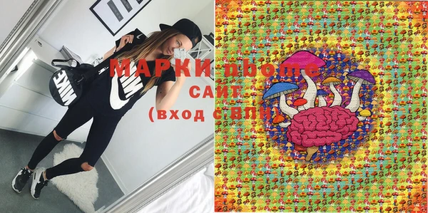 шишки Магас