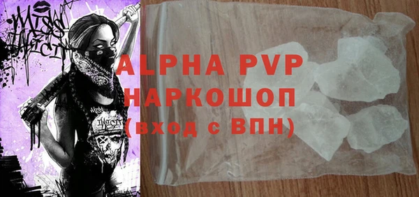 шишки Магас