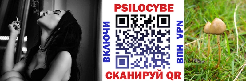 Купить закладки  Тырныауз  Галлюциногенные грибы GOLDEN TEACHER 